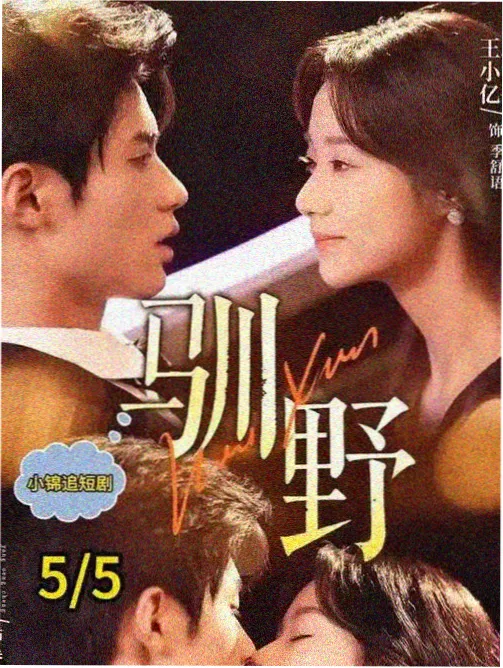 韩国都市情感剧玫瑰公寓海报